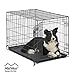 Dog Crate | MidWest ICrate 36 Inch Folding Metal Dog Crate w/ Divider Panel|Intermediate Dog Breed, Black primary