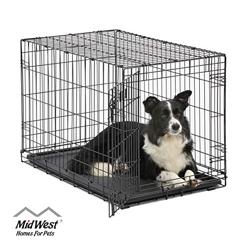 Dog Crate | MidWest ICrate 36 Inch Folding Metal Dog Crate w/ Divider Panel|Intermediate Dog Breed, Black