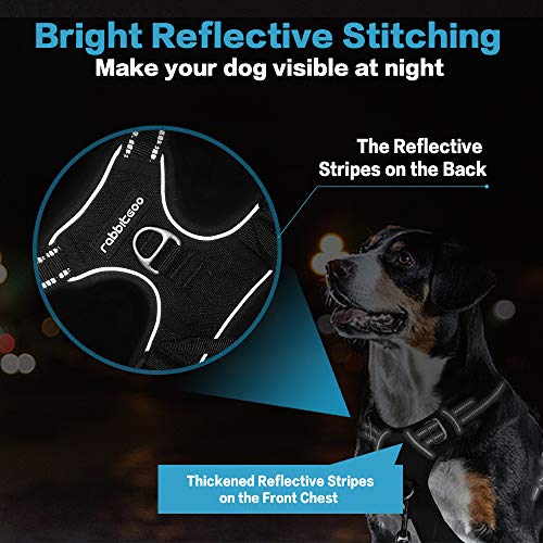 rabbitgoo NoPull Dog Harness Leash Set Heavy Duty Halter Harness with Leash for Large Dogs