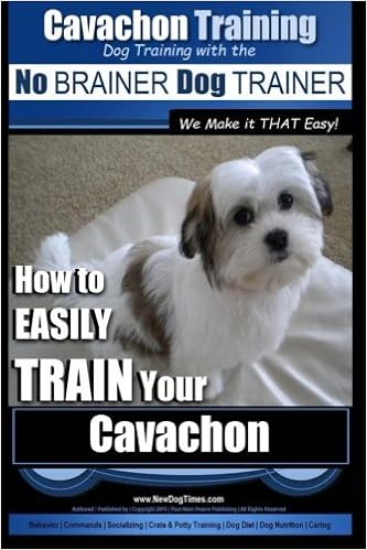 cavachon potty training