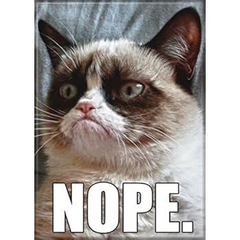 Ata-Boy Grumpy Cat 'Nope' 2.5