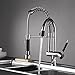 Fapully Commercial Spring Pre-Rinse Single Lever One Hole Pull Down Kitchen Faucet Pull Out Sprayer with Double Spout Sink Faucet Polished Chrome