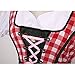 Colorful House Womens Oktoberfest Beer Maid Fancy Dress Costume, Red and Green,Size M