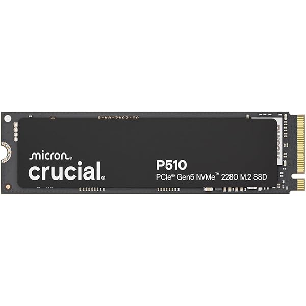 Amazon.com: msi SPATIUM M560 PCIe 5.0 NVMe M.2 1TB Portable SSD