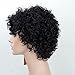 MyNiceHair--100% Pure Human Hair Short Curly Wigs for Black Women (Natural black)