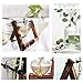 HUABEI Plant Terrarium Wooden Stand Love Shape, Air Planter Bulb Glass Vase Metal Swivel Holder Retro Tabletop Hydroponics Home Garden Office Decoration – 1 Bulb Vasethumb 2