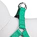 Blueberry Pet Essentials Step-in Dog Harness, Medium Size | Adjustable Emerald Vest | Classic Solid Nylon for Boy & Girl Dogs, Chest Girth 20