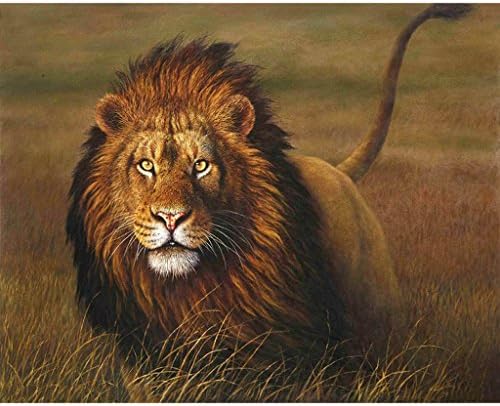 HotAmz DIY Oil Painting Set For Kids Adults - Lion's Staring, Painting Canvas By Number Kit Coloring Home decor,15.7x19.6inich