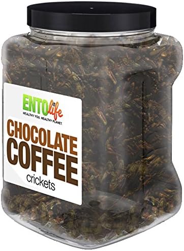 Order in Bulk: One Pound of Cleaned Flavored Crickets (Chocolate Coffee)