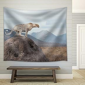 Wild African Cheetah, Beautiful Mammal Animal. Africa, Kenya - Fabric Wall Tapestry Home Decor - 51x60 inches