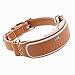 Link AKC Smart Dog Collar - GPS Location Tracker, Activity Monitor, and More, Leather Large (KITTN03)