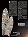 The Hogeye Clovis Cache (Peopling of the Americas Publications)