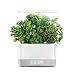 AeroGarden White Harvest, 2019 Model