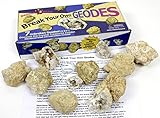 Dancing Bear 7 Break Your Own Geodes, Medium ( 2-2.5 inches) Easy Crack Open & Discover Surprise Crystals Inside, Includes Educational Info & Magnifying Glass, Fun Party Favors and Prizes, Brand