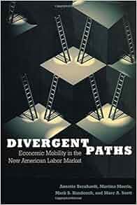 Divergent Paths Economic Mobility In The New American