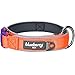 Blueberry Pet 4 Colors Soft & Comfy Summer Hope 3M Reflective Padded Dog Collar with O-Ring, Fluorescent Orange, Medium, Neck 14.5