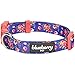 Blueberry Pet Dog Collar Rose Print, Adjustable Medium Dog Collars for Medium Dogs, Large & Small Dogs, Puppy Collar, Pink Dog Collar for Girls, Eco-Friendly, 14.5-20 in Neck