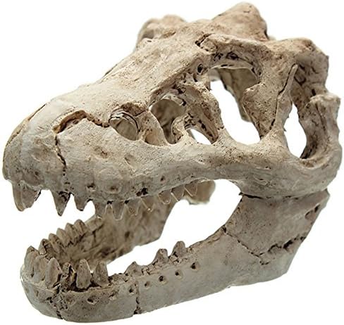 Dragon Resin Aquarium/Terrarium Decoration Crocodile Skull For Fish Tank Resin Ornament Decorate Your Aquarium