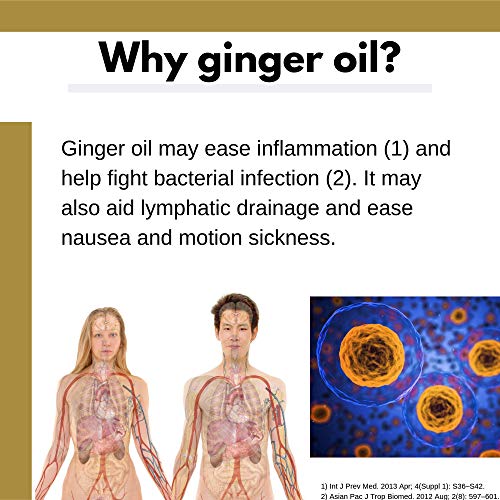 image for WNOPA Ginger Oil Fresh Herbal Ginger Essential Oil from Roots CO2 Extr