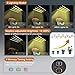 Grow Light, Growing Lamps for Indoor Plants, Ochter 80 LED Grow Light, Full Spectrum Plant Grow Lights for Plants Growth with 3/6/12H Intelligent Timer, 10 Dimmable Levels, USB or AC Powered