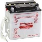 Yuasa YUAM2210Y YB10L-A2 Battery, multi-colored