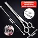 Gimars Upgrade 4CR Sharp Dog Grooming Scissors with Safety Round Tip - Heavy Duty Titanium Coated Stainless Steel Grooming Trimming Shears for Long, Short Hair on Face, Eyes, Collar, Paws, Cats, Pets