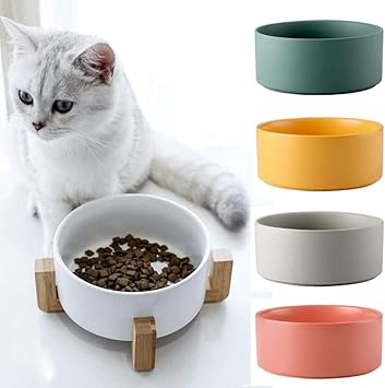 ceramic dog bowls with stand