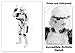 Star Wars Collector Prints - Set of Eight Photos (8
