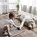 REFETONE Indoor Doormat, Front Door Mat 24