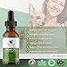 Hemp Oil for Dogs and Cats Ultra Pure, Pharmacy Grade | All-Natural Hip and Joint Pain Relief | Helps Relieve Stress, Anxiety | Calming Effect | Treat, Food Supplement | Best Friends RX