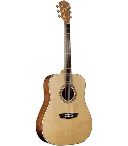 Amazon.com: Washburn Apprentice D5 with Case, Acoustic Guitar