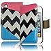 Bastex Leather Wallet for Apple Touch 4, 4th Generation iPod - Hot Pink and Sky blue Clutch with Stylus and Screen protector