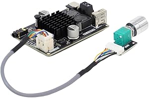Pasuihcay XY-1001W Bluetootooth 100W Mono Audio Amplifier Board High Power Module TPA3116 Sound Power Amplifier Module 1001W-