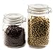 Swing-Top Food Storage Glass Jar Canister in Clear Glass, 67 Ounce