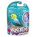 DigiBirds - Single Pack - Turquoise