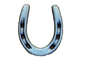 ALWAYS A BARGAIN 4U Lot of 50 Small Rustic Cast Iron Horseshoes for Western Equestrian Decor Crafts Party Favors and Just Plain Old Good Luck