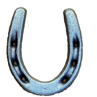 Amazon Best Sellers: Best Equestrian Horseshoes