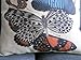 Decorbox Cotton Linen Square Decorative Throw Pillow Case Cushion Cover Butterfly 18 