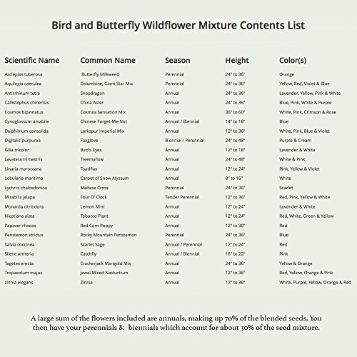 6 Package+Butterfly+Wildflower+Seed+Needs