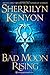 Bad Moon Rising: A Dark-Hunter Novel (Dark-Hunter Novels)