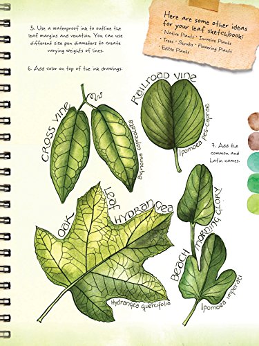 image for Walter Foster Publishing The Art of Botanical & Bird Illustration: an 