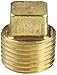 Anderson Metals 56109 Brass Pipe Fitting, Cored Square Head Plug, 1/2
