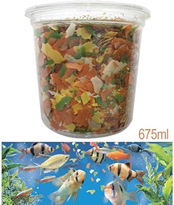 cold water pond fish