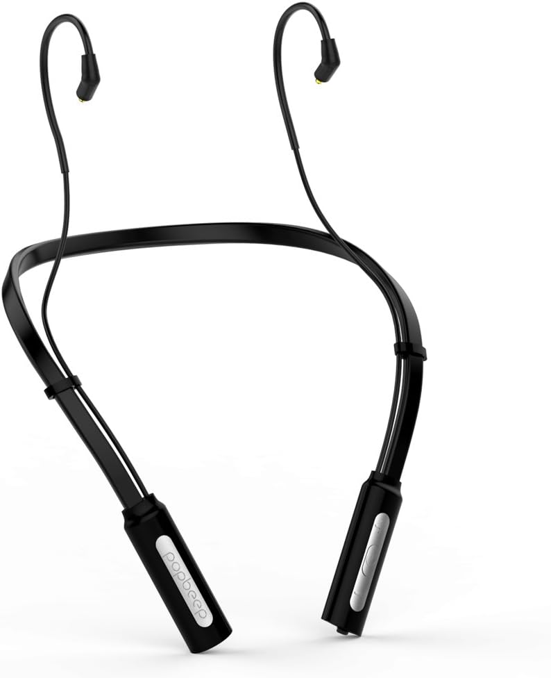BASN Professional in-Ear Monitor (Black)
