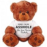 Sorry and Forgive Me Gift: Funny Teddy Bear Gift Couple: Medium Teddy Bear Stuffed Cute Animal