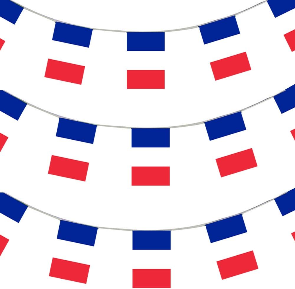 33ft 10 Meters French Flag Bunting France Party Euro Decoration