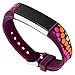 WITHit French Bull Designer Silicone Band for Fitbit Alta & Alta HR - Purple Bindi