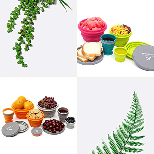 image for M Square Collapsible Food Grade Silicone Bowls with Lids, BPA-Free, Ca