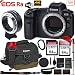 Canon EOS Ra Mirrorless Digital Camera 30.3MP Full-Frame (Body Only) with Mount Adapter + 2 x 64GB Memory Cards, Canon 100EG Case, Canon Wrist Strap, Monopod and Morethumb 4