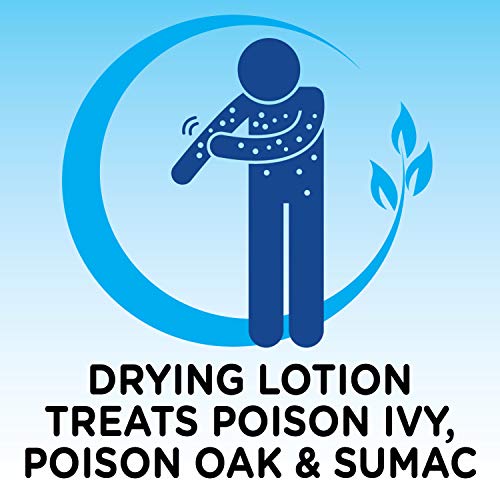 Mountain Falls Calamine Drying Lotion Topical Sension Skin Protectant for the Treatment of Poison Ivy, 6 Fluid Ounce (Pack of 6) - Thumbnail 3
